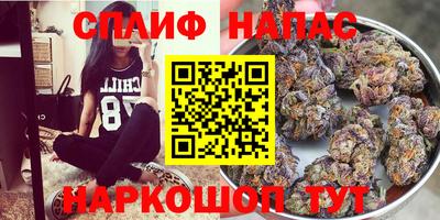 таблы Будённовск