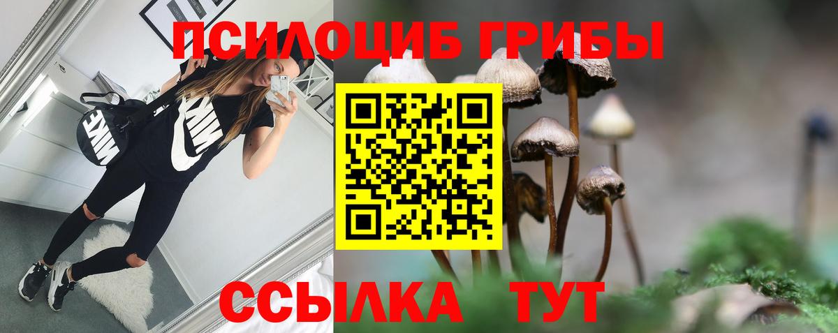 Галлюциногенные грибы GOLDEN TEACHER Красноперекопск